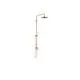 DORNBRACHT-Shower-Pipe-mit-Brause-Einhandbatterie-SERIENSPEZIFISCH-36112970-Messing-gebuerstet-23kt-Gold-36112970-28 gallery number 1